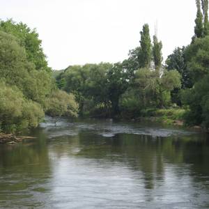 Muldeverlauf bei Jeßnitz (Anhalt)